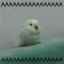 sknesan23