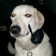 OsamaBinLaden