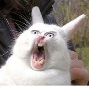 ЗАЙЧИК.СУКА