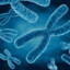 Chromotone