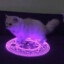 Demon Cat Summoner Summon Lv63