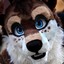 furrydaddy1237