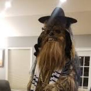 jew bacca