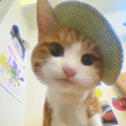 愤怒香菜拯救世界