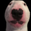 Dukanooka