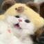 하늘