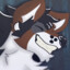 otterdawg