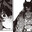HEISEI ERA MONSTER