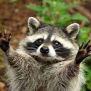 Samsi (✿◠‿◠)