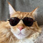 Gummer