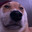 Ghosty Steam avatar