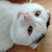 Ракаю пуджа