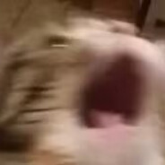 仿生咩梦电子机器人