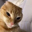 Amend Mewing