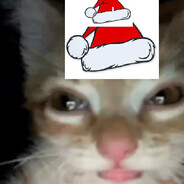 Littlefloppy