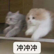 勇敢猫猫 踩火拆包 - steam id 76561197961890132