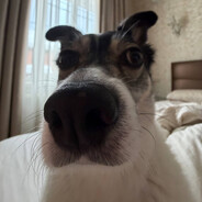 ЕгорБобренко