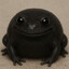 BlackRainFrog