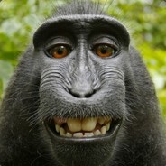 Chomskiehonk