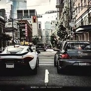 十二木白木木木