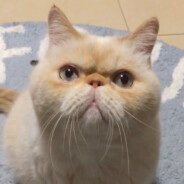 在你是谁的同时我又是