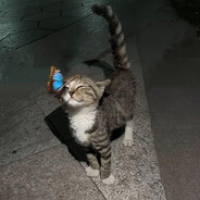 smthlikeyou - steam id 76561199232614232