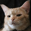 Purryx