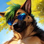 Chaotic_ShepTV