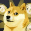 Doge Coin Collector