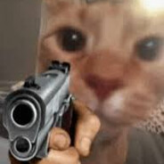 somebody plz get this CAT a gun