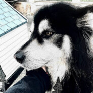 此生必睡周淑怡