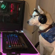 MICROBEE - steam id 76561198827628139