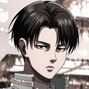Levi