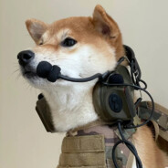 翻斗花园308,黑丝巨乳壮壮妈