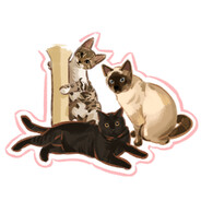 小陆（阴暗的蠕动）