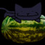 Catonwatermelon