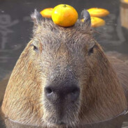 Capybara's bf