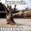 Kung Fu Kitty &lt;3