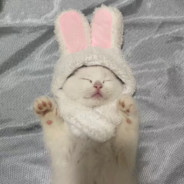 今天一定不会被打哭