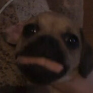 ДанилИнгалятор2008