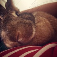 Juno. - steam id 76561197960987632