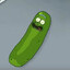 pickle rick