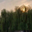 还好吧