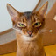 Reddie's avatar