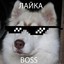 святая талка