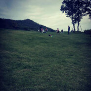 我乃天下第一菜