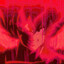 3c34d00b8bd07c123799a24ae6443fd03539acae medium