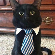 618 - steam id 76561199643213700