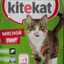 KiteKat