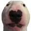 Walter @bandit